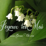 Joyeux 1er mai