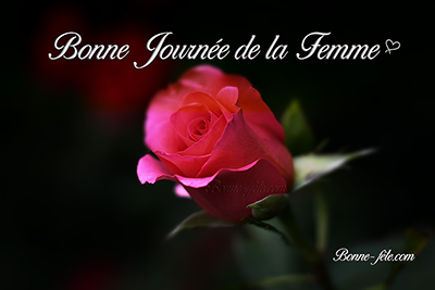 Journée de la femme texte