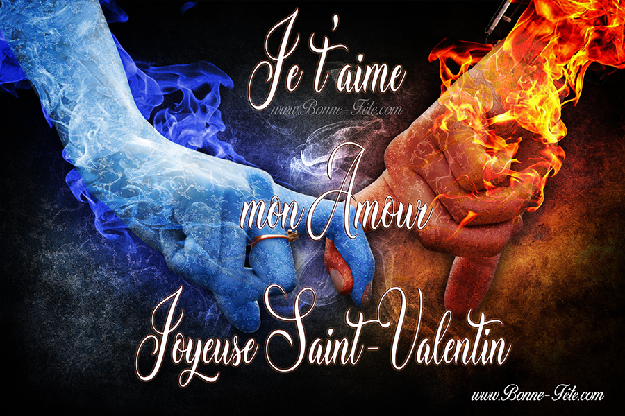 joyeuse Saint valentin mon amour