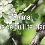 Dictons célèbres du mois de mai bonne fete