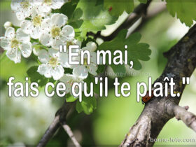 Dictons célèbres du mois de mai bonne fete